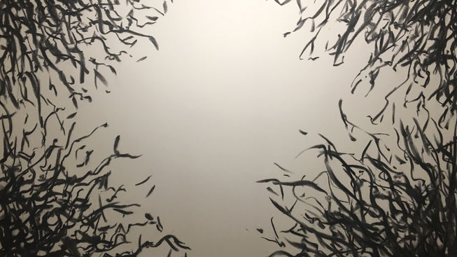 Transition